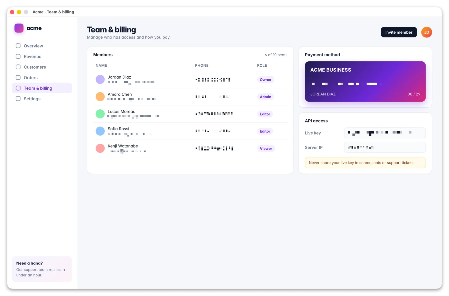 A team settings page where every email address, phone number, card number and API key has been blurred.